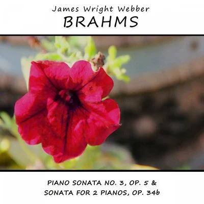 Brahms: Piano Sonata No. 3, Op. 5 & Sonata for 2 Pianos, Op. 34b 专辑 Johannes Brahms/James Wright Webber