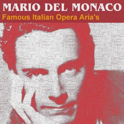 Famous Italian Opera Arias 專輯 Mario Del Monaco