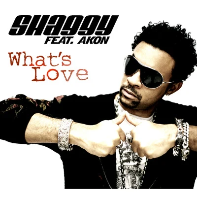 What Is Love 專輯 Shaggy/Ricardo Ducent/Tenchi/Moss Kena/Embody