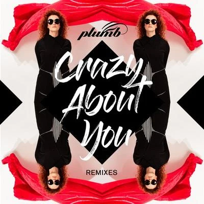 PlumbPaul van Dyk Crazy About You (Remixes)