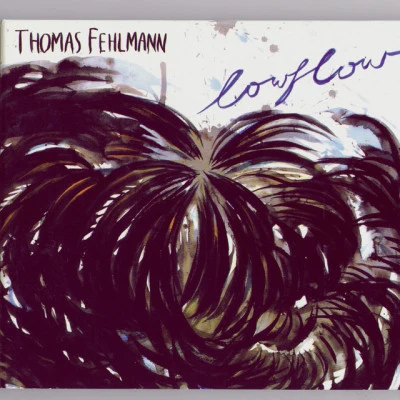 Thomas Fehlmann Lowflow