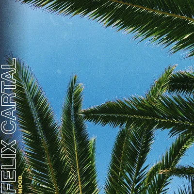 Mood (Sultan + Shepard Remix) 專輯 Felix Cartal/Sebastien Grainger