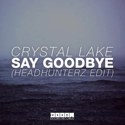 Say Goodbye (Headhunterz Edit) 專輯 Headhunterz