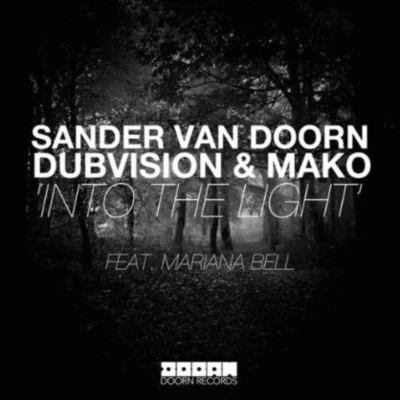 Into the Light 專輯 Sander Van Doorn/Gregor Salto