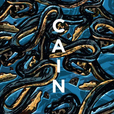 The Collection 2014-2019 專輯 高鵬宇/Cain/Sunfly Karaoke/Schön/Corgan