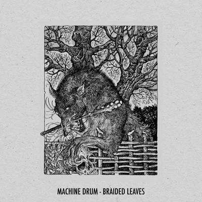 Braided Leaves 專輯 KingJet/J-E-T-S/Machinedrum/Jimmy Edgar