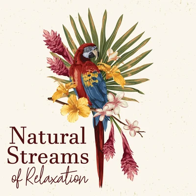 Natural Streams of Relaxation - Ambient Nature Sounds Collection, Bird Calls, Water & Rain, Body, Mind & Soul, Clear Your Mind, Total Comfort, Deep Re 專輯 Meditation