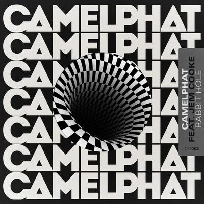 Rabbit Hole 專輯 CamelPhat/Erire