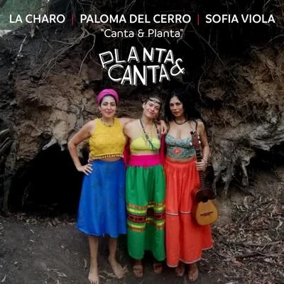 Canta y Planta (En Vivo) 專輯 El David Aguilar/Sofía Viola