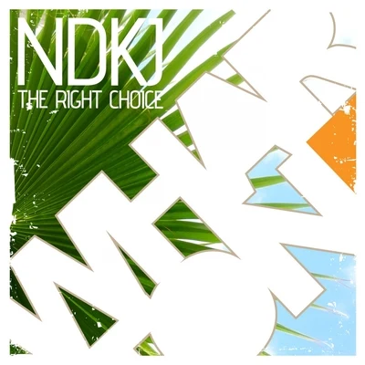 The Right Choice 專輯 NDKj