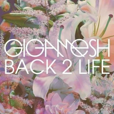 Back 2 Life 专辑 Gigamesh