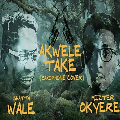 Akwele Take (Saxophone Cover) 專輯 Shatta Wale