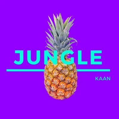 Jungle 專輯 Kaan