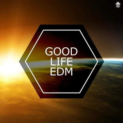 Whales Good Life EDM