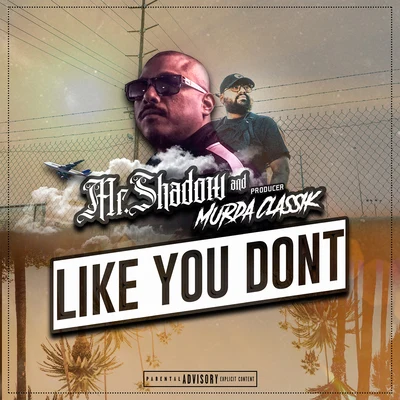 Like You Dont 專輯 Mr. Shadow/Nino Brown/Bad Boy