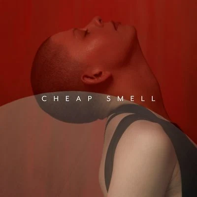 Cheap Smell 专辑 Kovacs