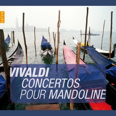 Concerto en ut majeur, RV425 : II. Largo 专辑 Rolf Lislevand