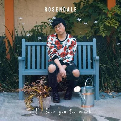 Did I Love You Too Much 專輯 Rosendale