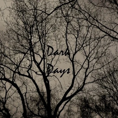 Dark Days 專輯 Ben Walter