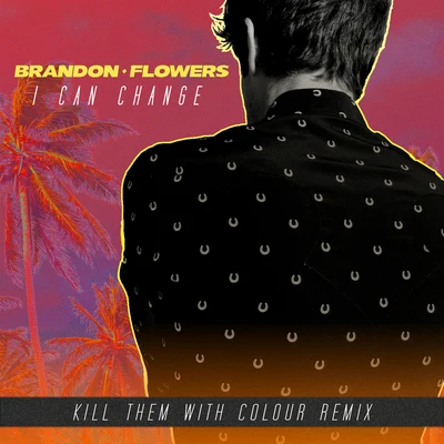 Mark StoermerBrandon FlowersCharttraxx Karaoke I Can Change（Kill Them With Colour Remix ）