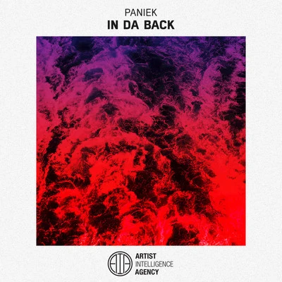 In da Back 專輯 Paniek