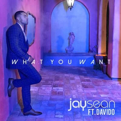 Jay Sean What You Want