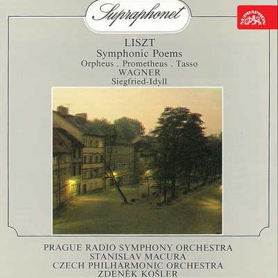 Liszt: Symphonic Poems - Wagner: Siegfried-Idyll 專輯 Petr Škvor/Czech Philharmonic/Czech Philharmonic Orchestra/Libor Pešek/Bruno Bělčík