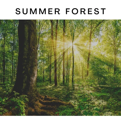 Summer Forest 專輯 ASMR Earth