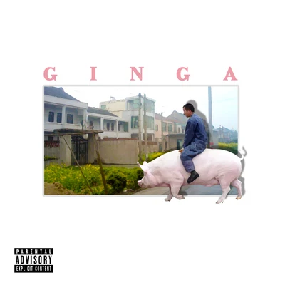 三环外买别墅 专辑 Ginga