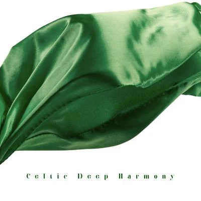 Celtic Deep Harmony - 15 Ambient Melodies Straight from Nature, Irish Vibes, Music to Relaxation, Sleep, Meditation and Rest 专辑 Restful Music Consort/Positive Thinking World