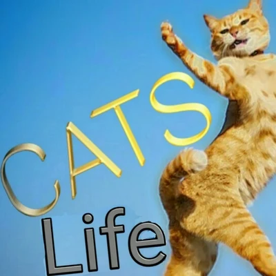 Cats Life 專輯 Scrilla/Nikman