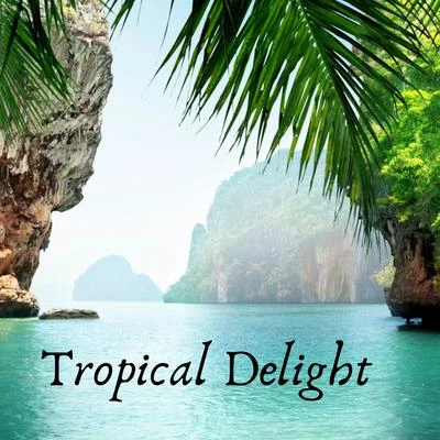 Tropical Delight 专辑 Deep Sleep White Noise/Crafting Audio/Healing Sounds for Deep Sleep and Relaxation