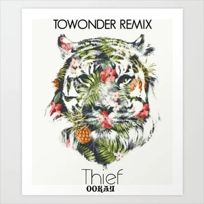 Thief (ToWonder Remix) 專輯 ToWonder