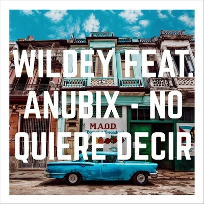 No Quiere Decir (feat. Anubix) 专辑 Anubix/Titico/KN1one