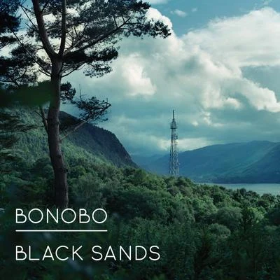 Bonobo Black Sands