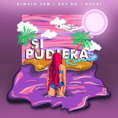 Si Pudiera (Remix) 专辑 Vitto Castro/Buxxi