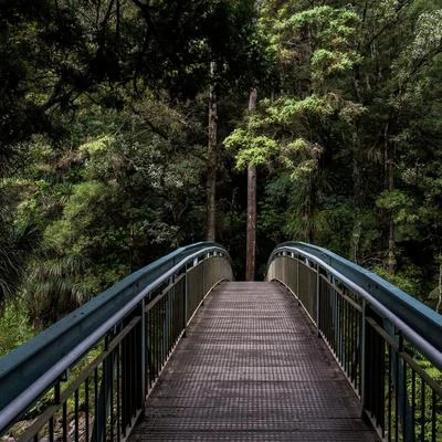 Marcha de Meditación 專輯 Canciones De Cuna/Musicas Crianças/Lluvia PQ