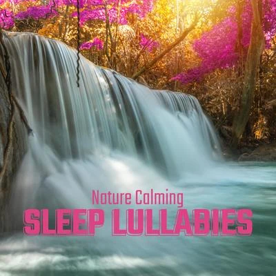 Nature Calming Sleep Lullabies: 2020 Nature Music for Sleep, Rest and Relax 專輯 Sleep Sound Library/Calming Baby Sleep Music Club/Nursery Rhymes and Kids Songs