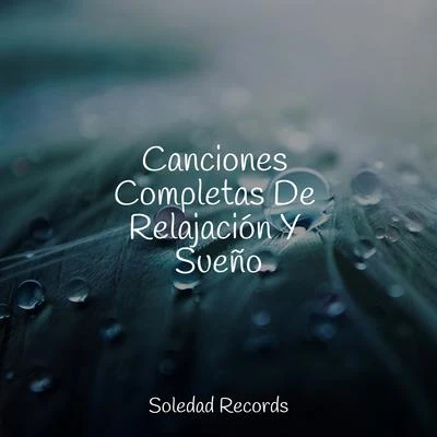 Canciones Completas De Relajación Y Sueño 專輯 Musica Para Dormir Bebes/Ambiente/Lluvia PQ