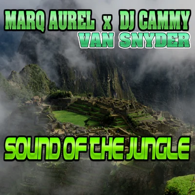 Sound of the Jungle 專輯 Van Snyder/Fireflie