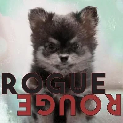 Rogue Rouge 专辑 Amber