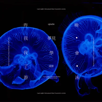 昨晚我夢見我學會了游泳 專輯 裘德