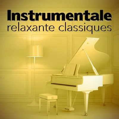 Instrumentale Relaxante Classiques 專輯 Beethoven Academy Orchestra/Antonín Dvořák/Antonín Dvoák/Beethoven Akademie Orchester/Pawel Przytocki