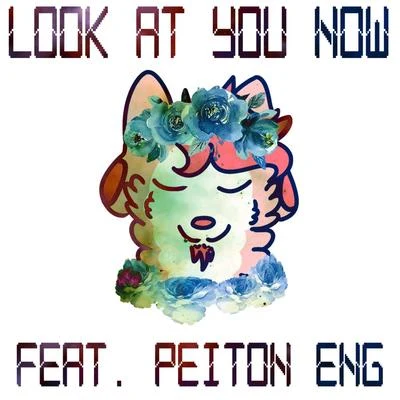 Look at You Now 專輯 Peyton