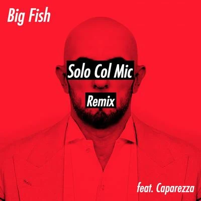 Solo Col Mic 专辑 Kende/David Blank/Big Fish