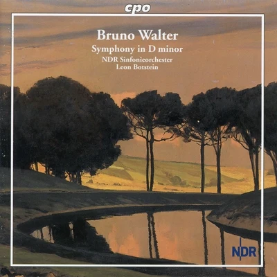 Walter: Symphony No. 1 in D Minor 專輯 NDR Sinfonieorchester/Martha Argerich/Unknown Artist/Reinhard Peters