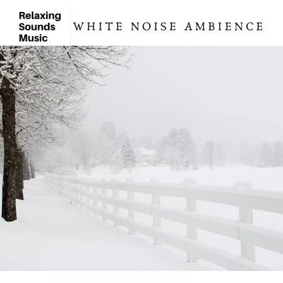 White Noise Ambience 專輯 White Noise Radiance/White Noise Relaxation/White Noise Research