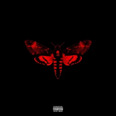 I Am Not A Human Being II (Deluxe) 专辑 Lil Wayne