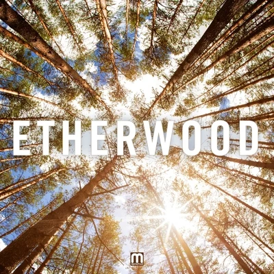 Etherwood 专辑 Etherwood