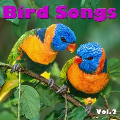 Bird Songs, Vol. 2 專輯 Wildlife/Various Arists/Sergey Sivenenko/Cj RcM/RD Project